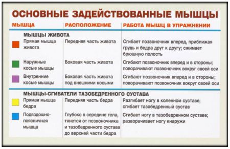 Скручивания на скамье с наклоном вниз - мышцы